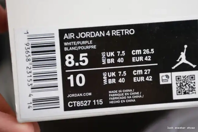 Reps LUCY Air 4 CT8527-115 Purple Jordan Court 0515